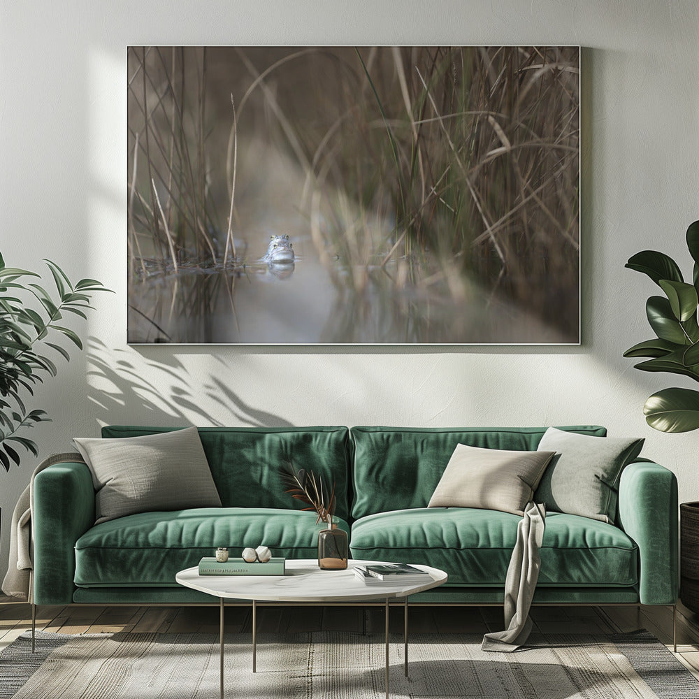 Zwei Frösche | Leinwand