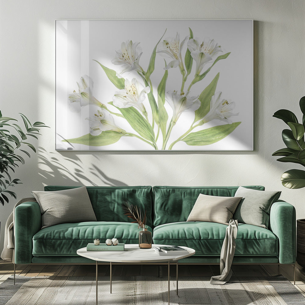 Alstroemeria | Leinwand