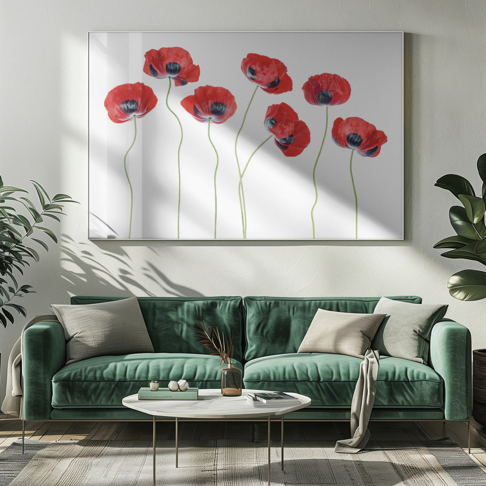 Marienkäfer Mohn | Leinwand
