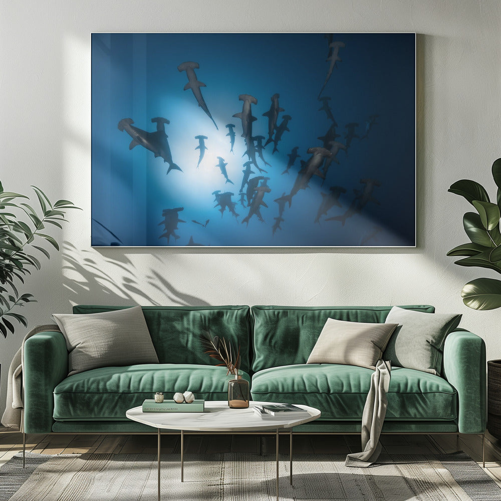 Hammerhai - Unterwasserfotografie | Leinwand