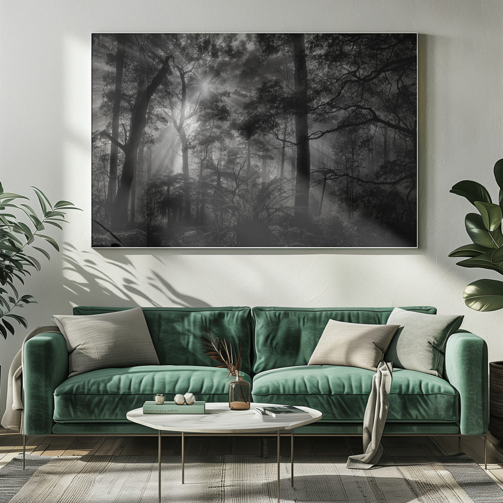 Primärwald | Leinwand