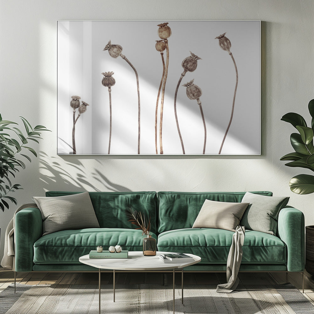 Mohnblumen | Leinwand