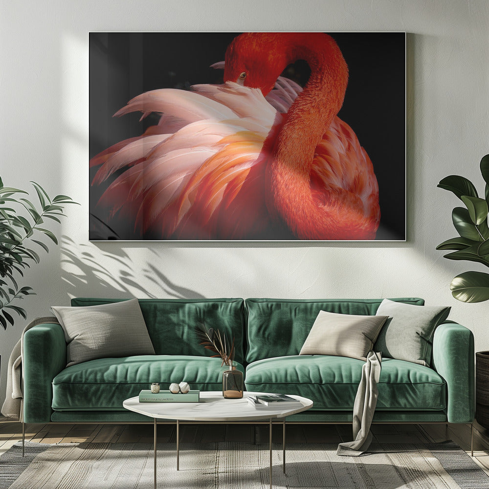 Flamingo | Leinwand
