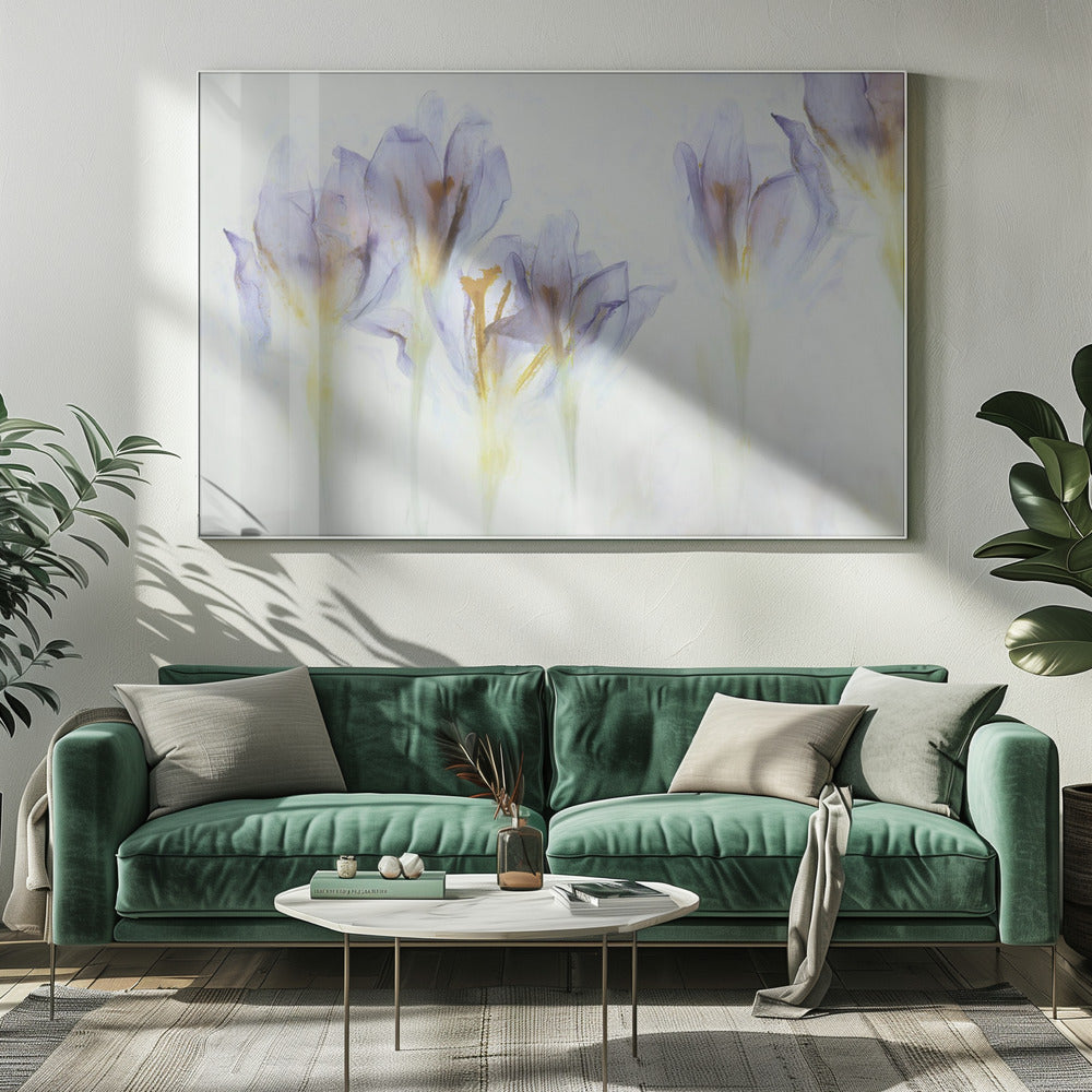 Spring | Canvas