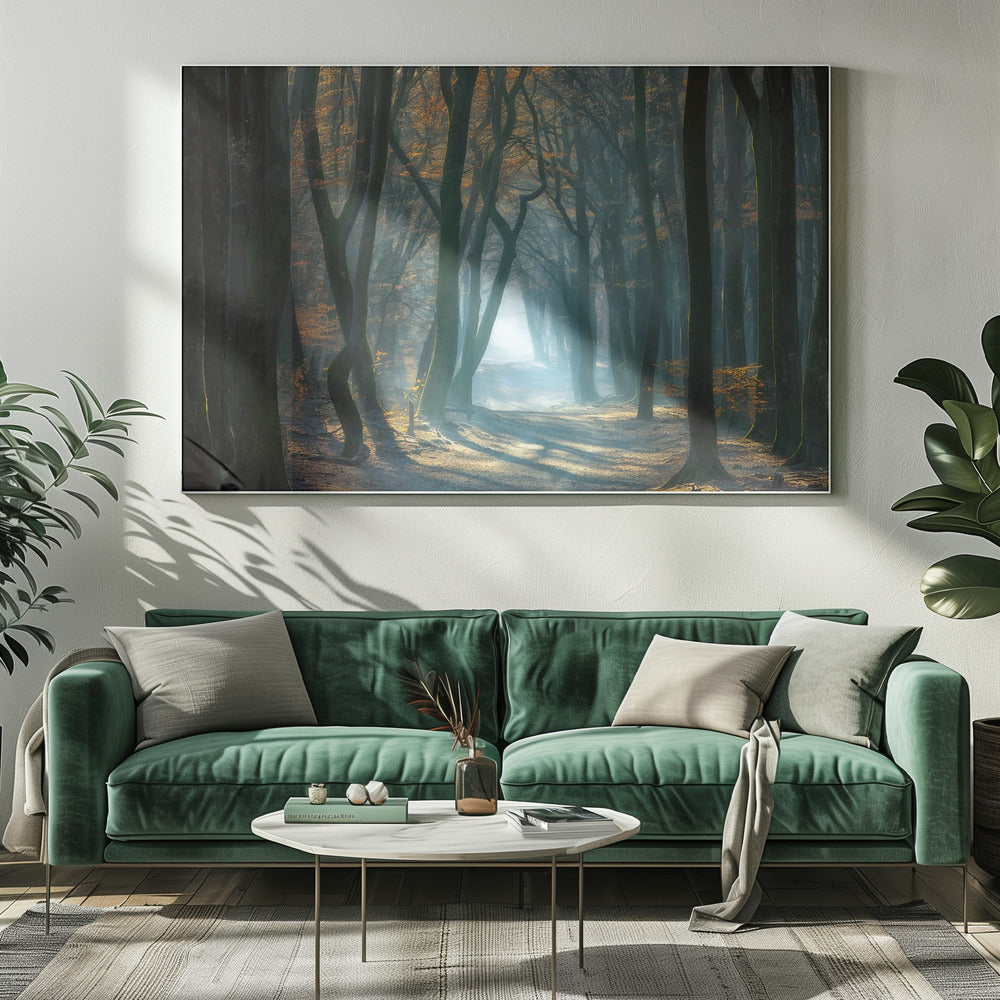Kaltes Licht | Leinwand
