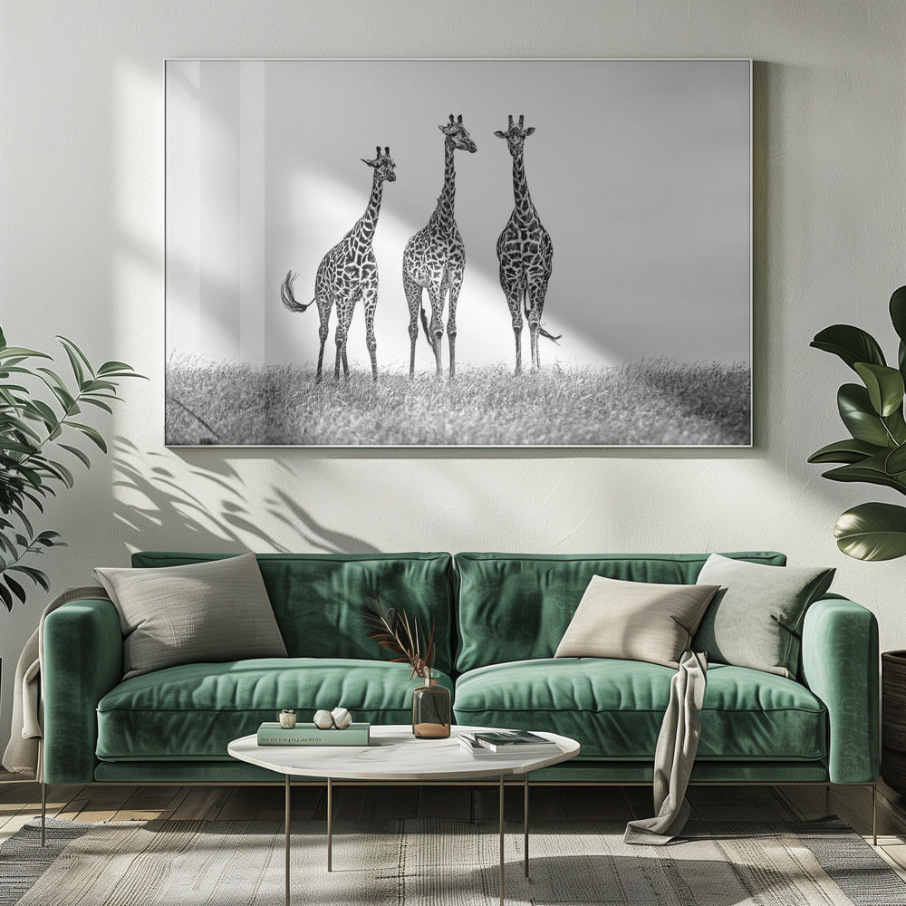 Giraffen in der Mara-Ebene | Leinwand