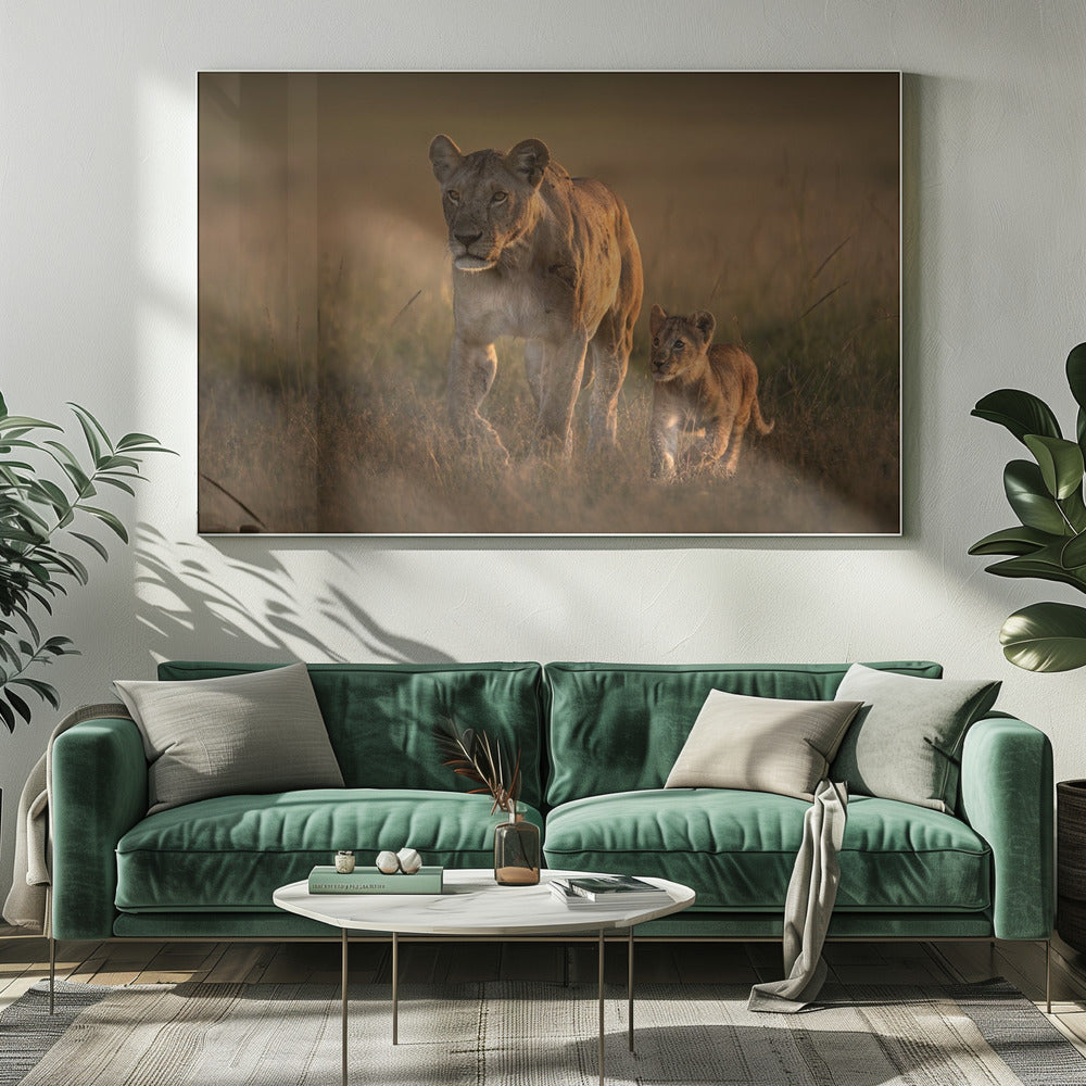 Löwin mit Jungem | Leinwand