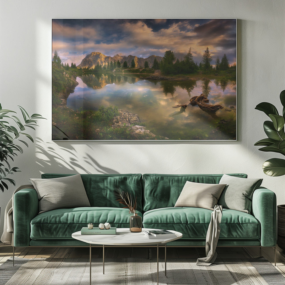 Limides... | Canvas