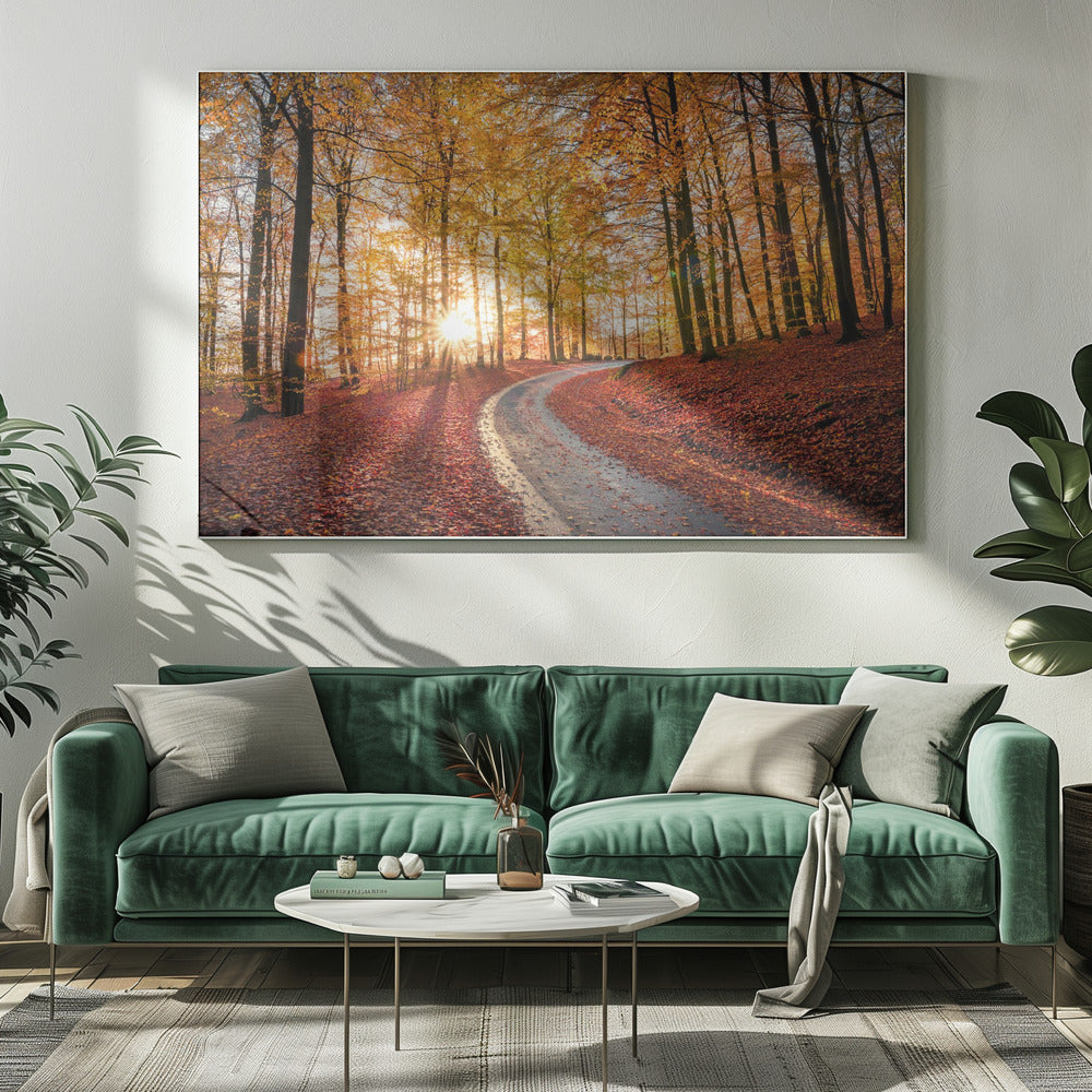 Straße im Nationalpark Söderåsen, Schweden | Leinwand