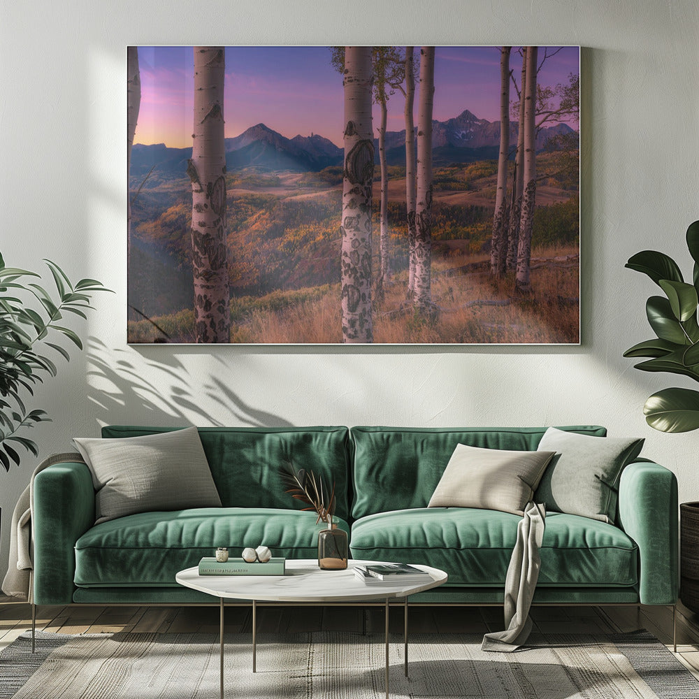Aspen-Rahmen | Leinwand