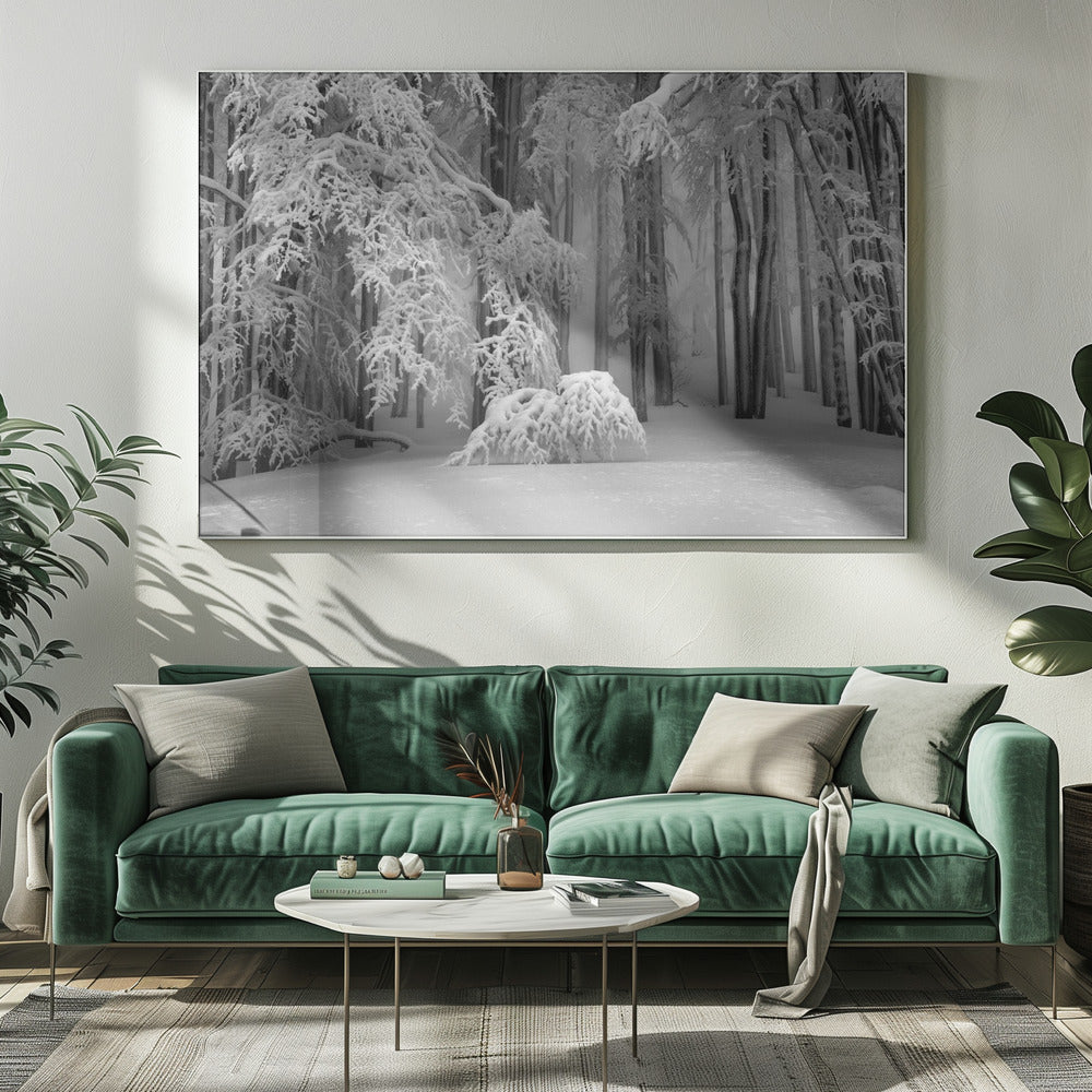 Perfekter Winter | Leinwand