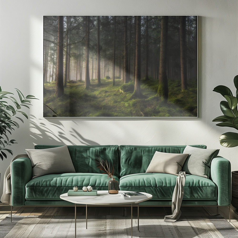 Ein Gefühl von Frühling | Leinwand