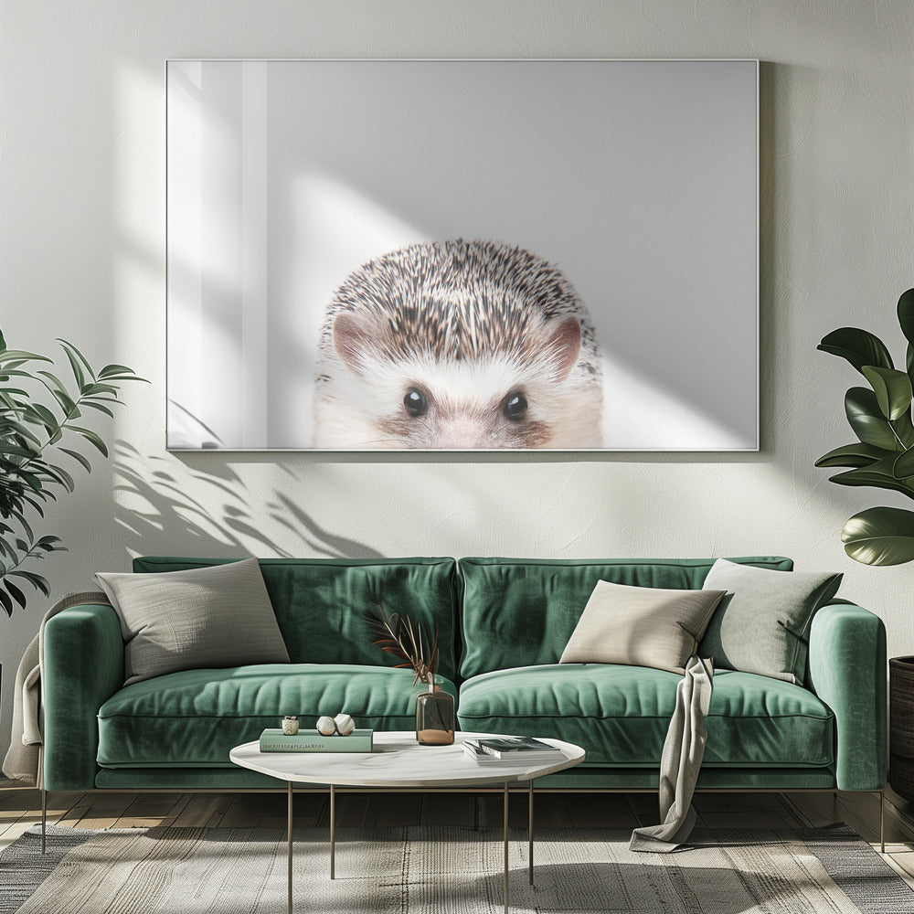 Guckender Igel | Leinwand