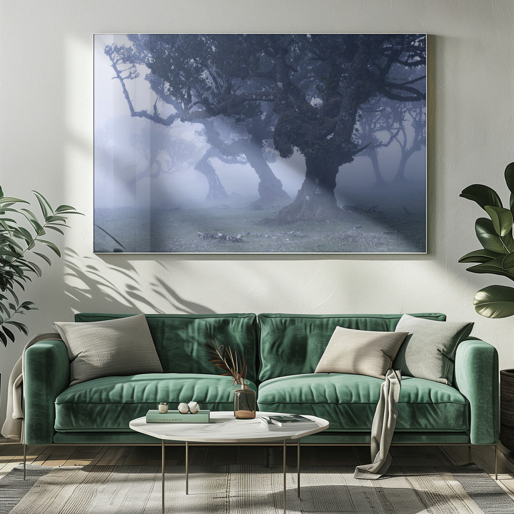 Blaue Wälder | Leinwand
