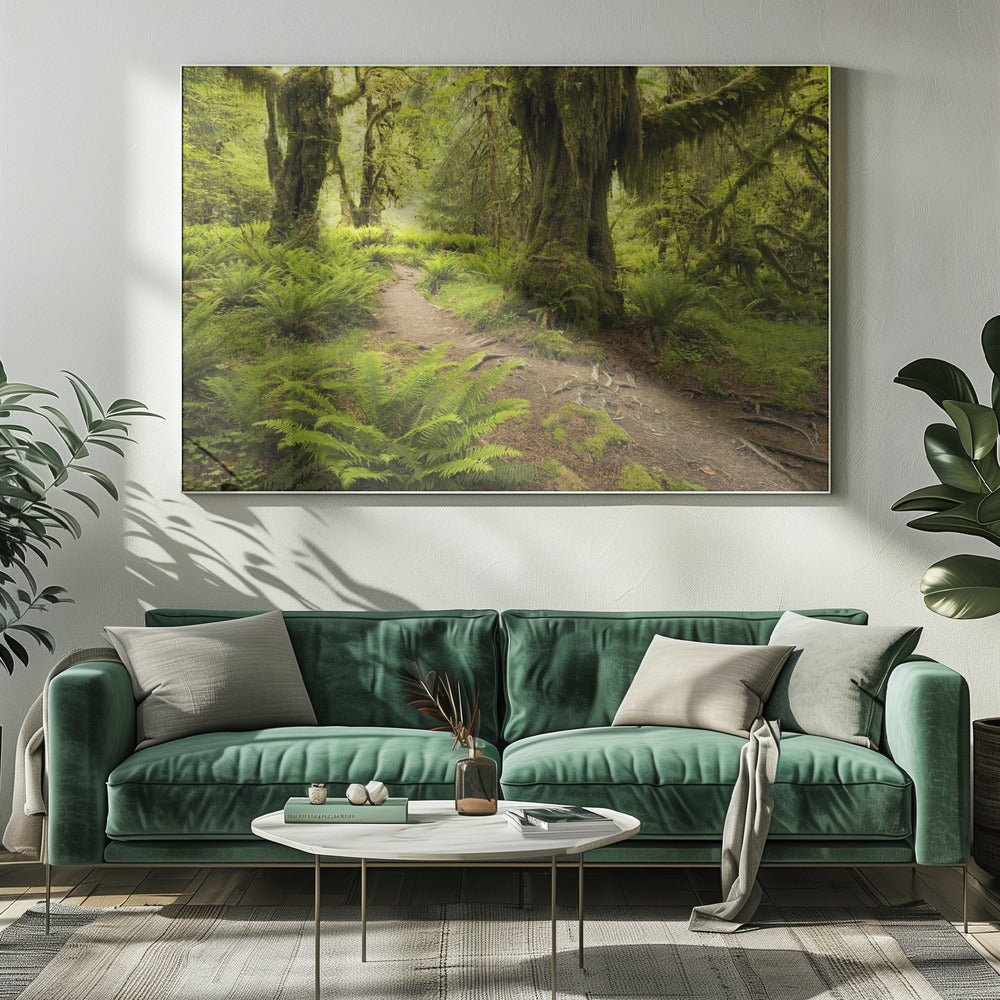 Hoh Regenwald | Leinwand