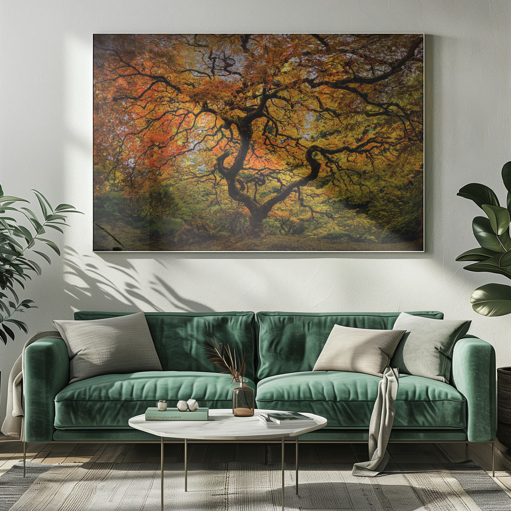 Der Ahornbaum | Leinwand
