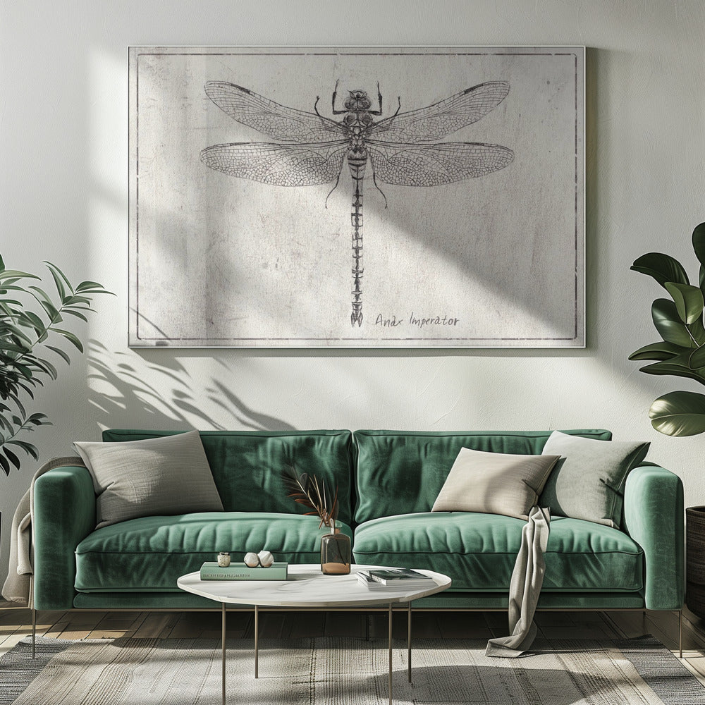 Majestät im Flug Anax Imperator | Leinwand