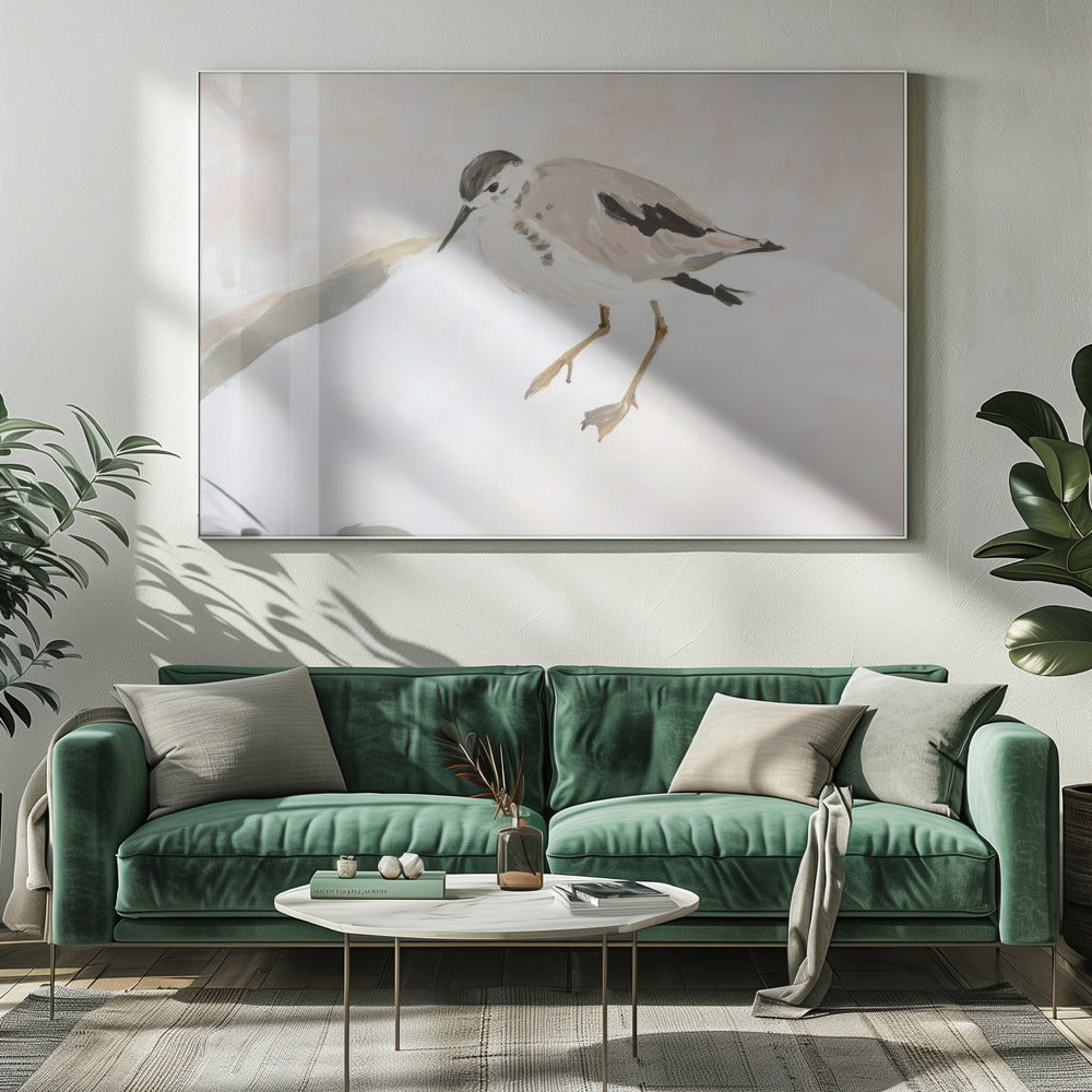 Süßer Watvogel | Leinwand