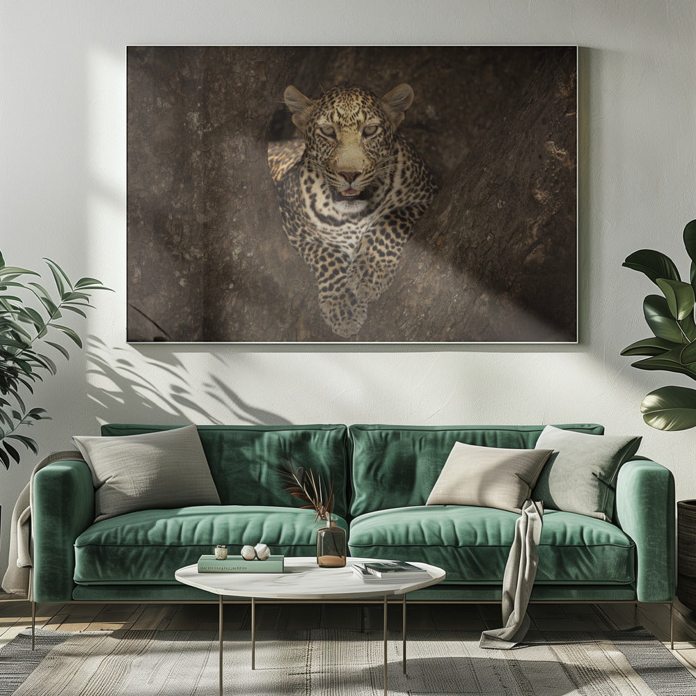 Leopard Resting on a Tree at Masai Mara | Canvas