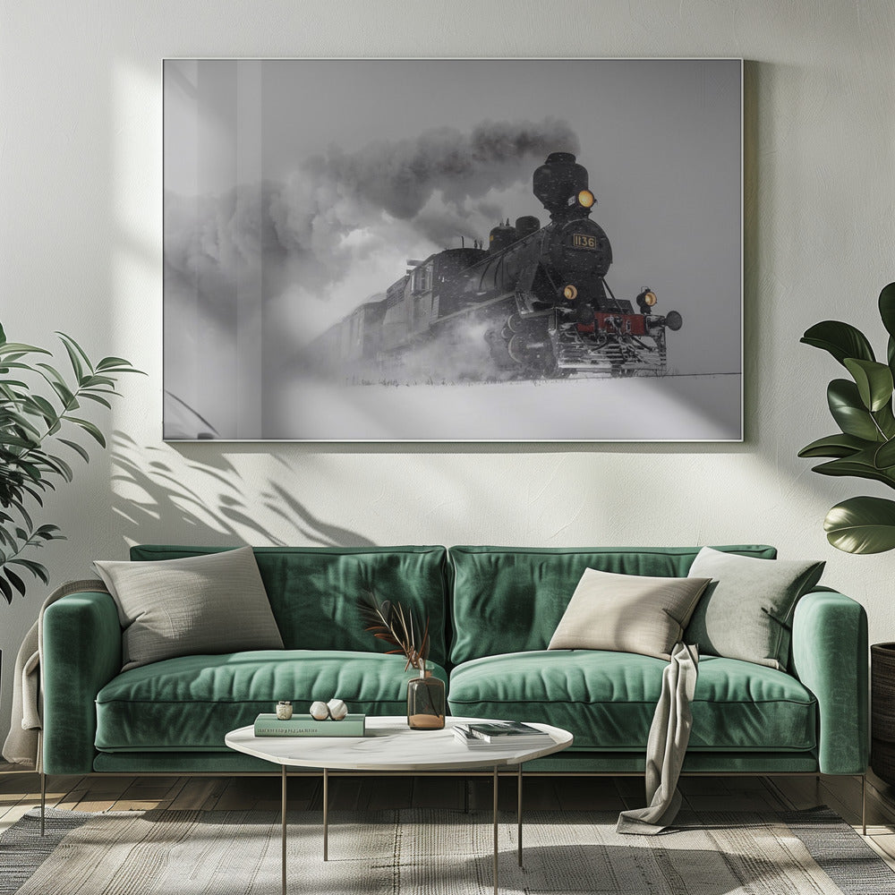 Little-Jumbo | Canvas