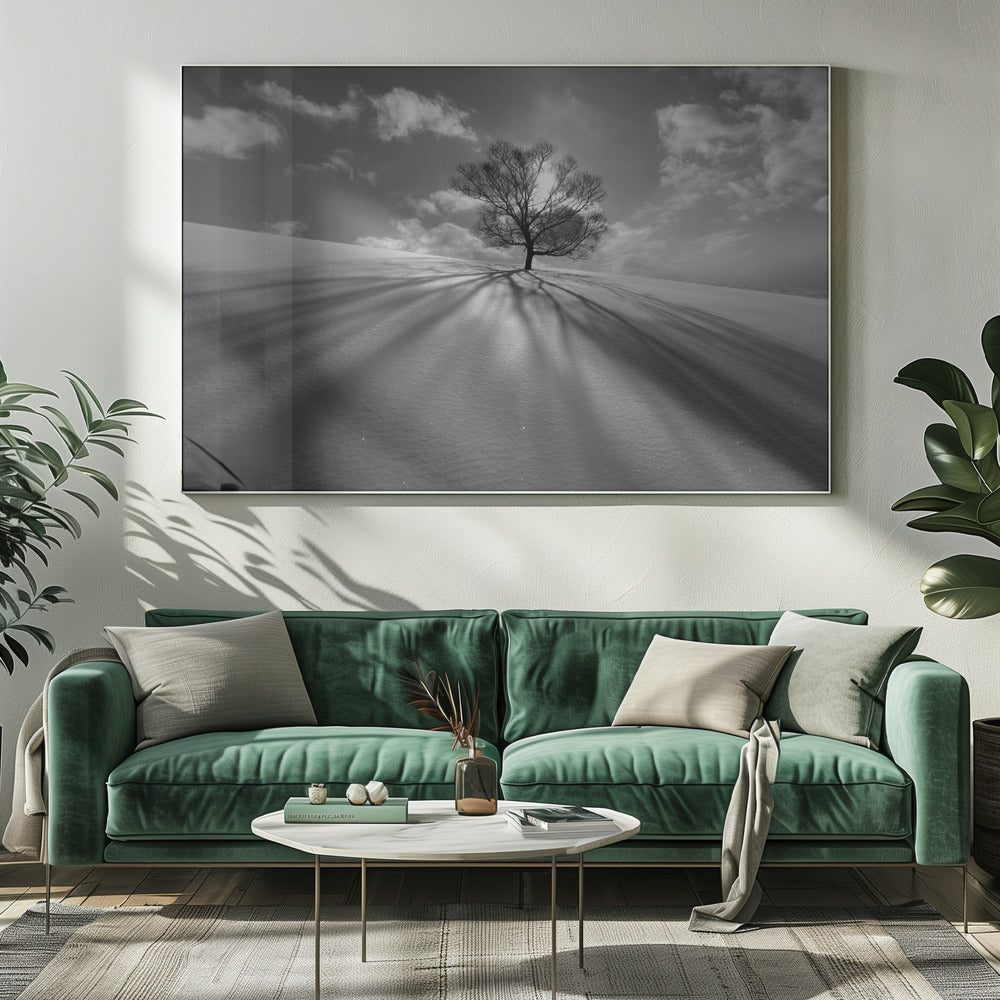 Tree Shadow | Canvas