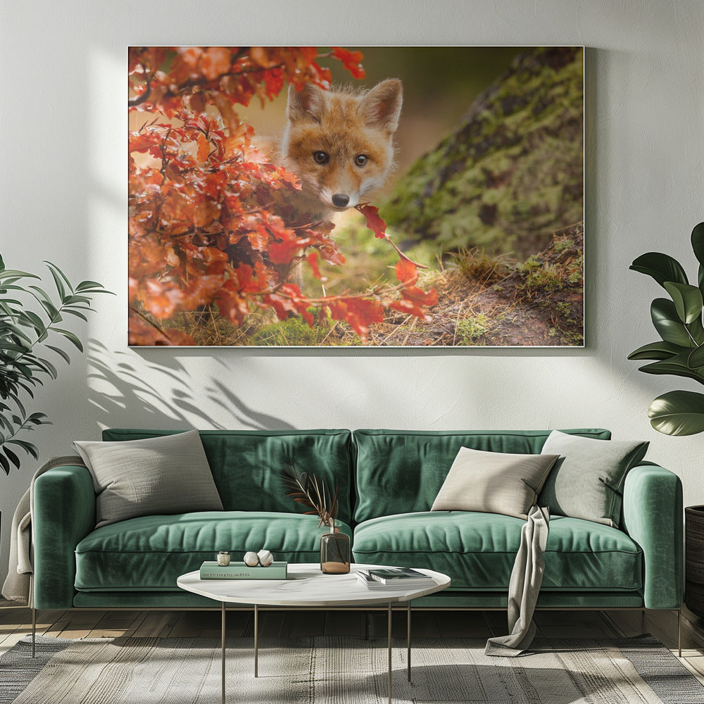 Fuchs | Leinwand