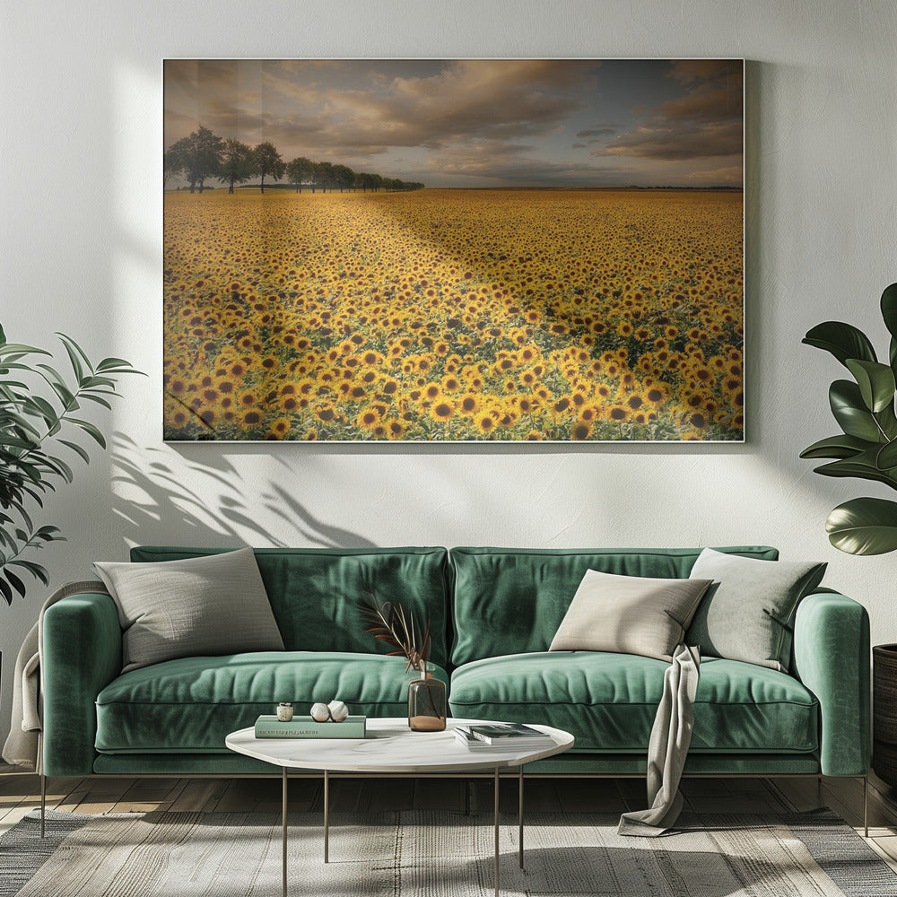 Sonnenblumen | Leinwand