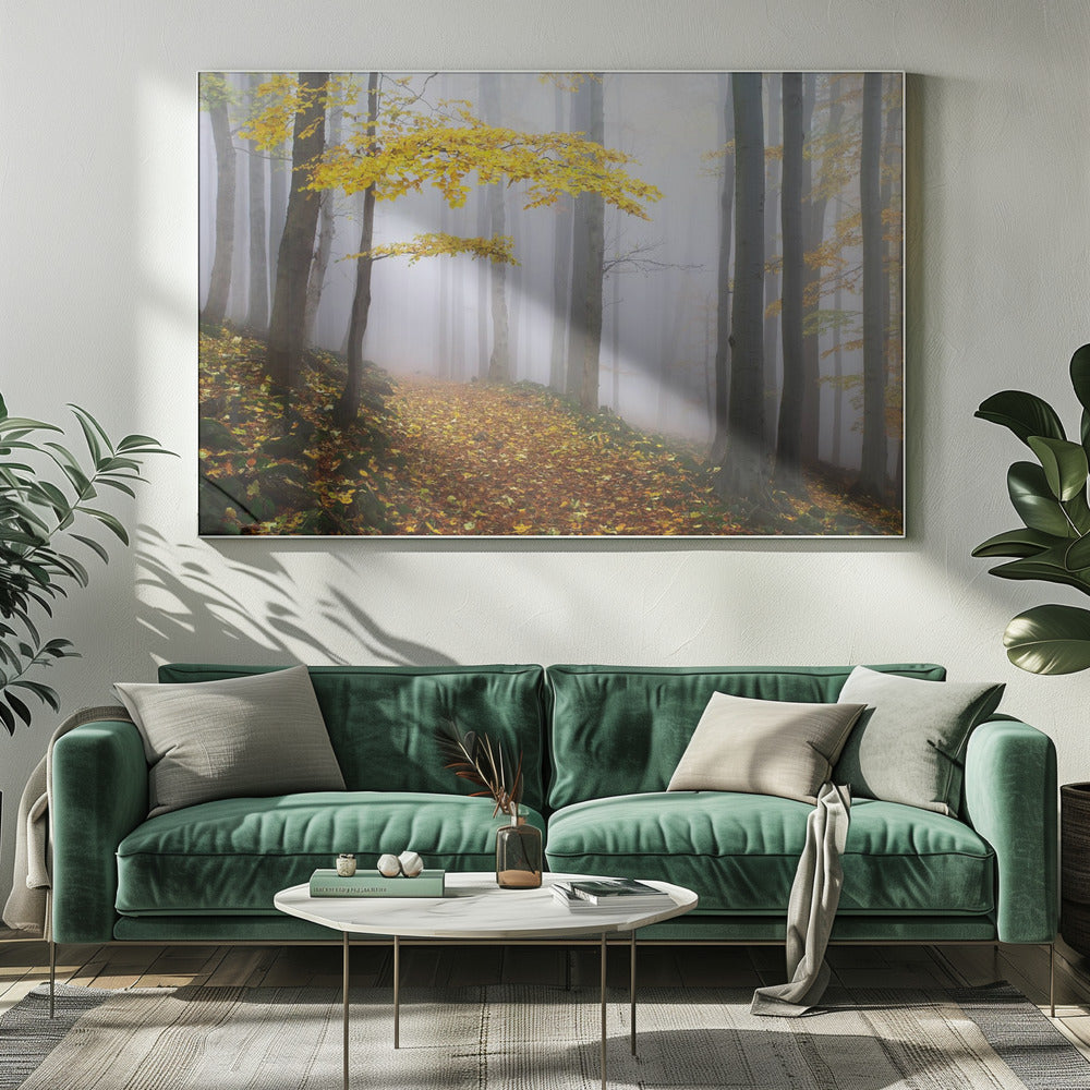 Untitled | Canvas