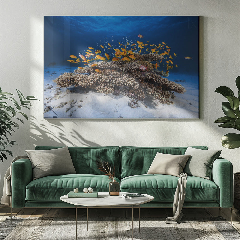 Meereslebewesen | Leinwand