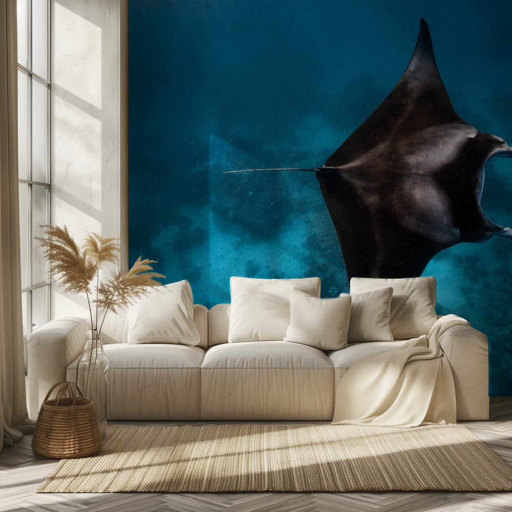 Manta flieg!!! | Hintergrundbild