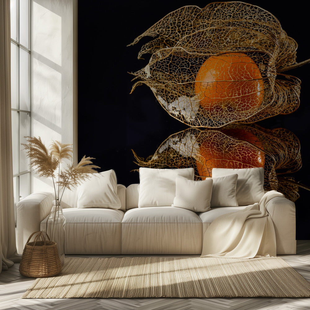 Physalis | Tapete