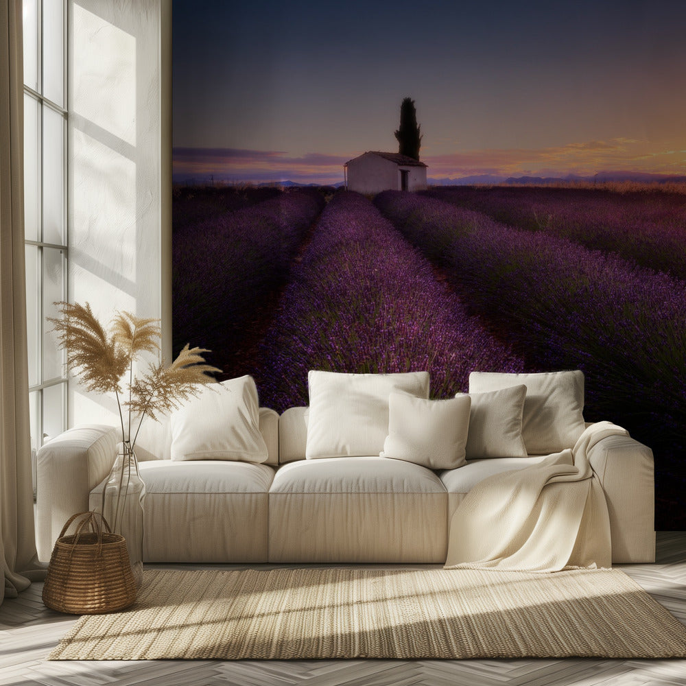 Provence Lavendel | Tapete