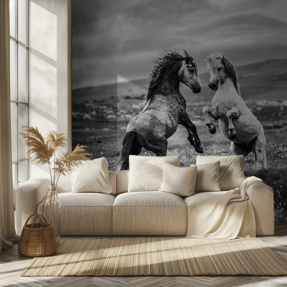 Wild und frei | Hintergrundbild