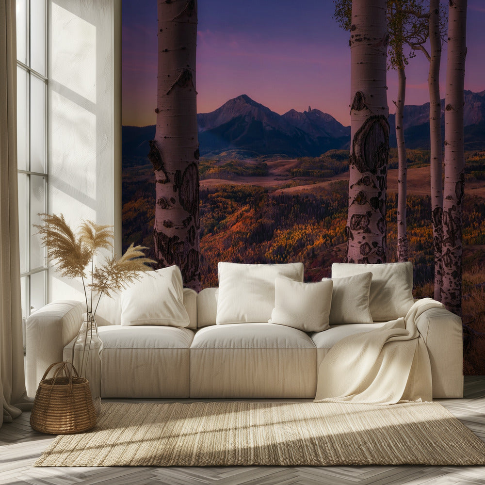 Aspen Frames | Tapete