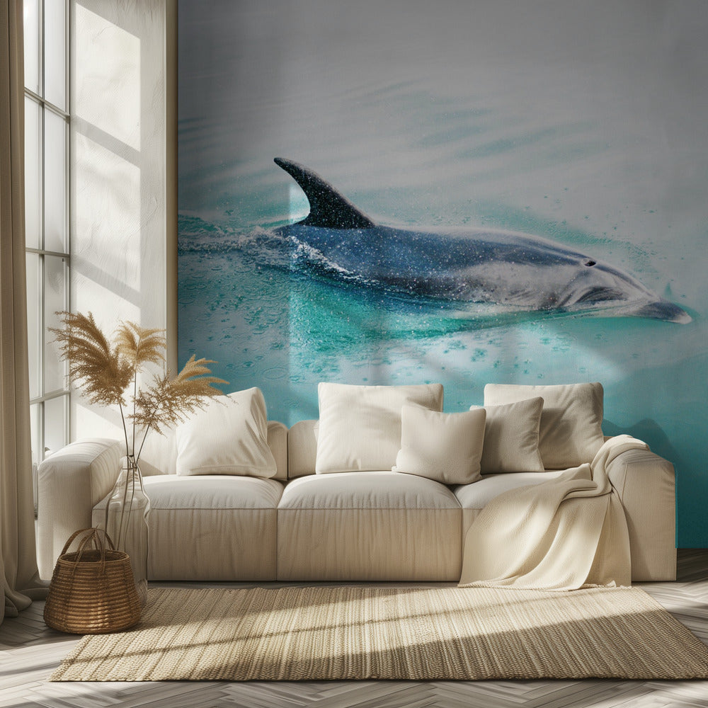 Delfin NZ Northern | Tapete