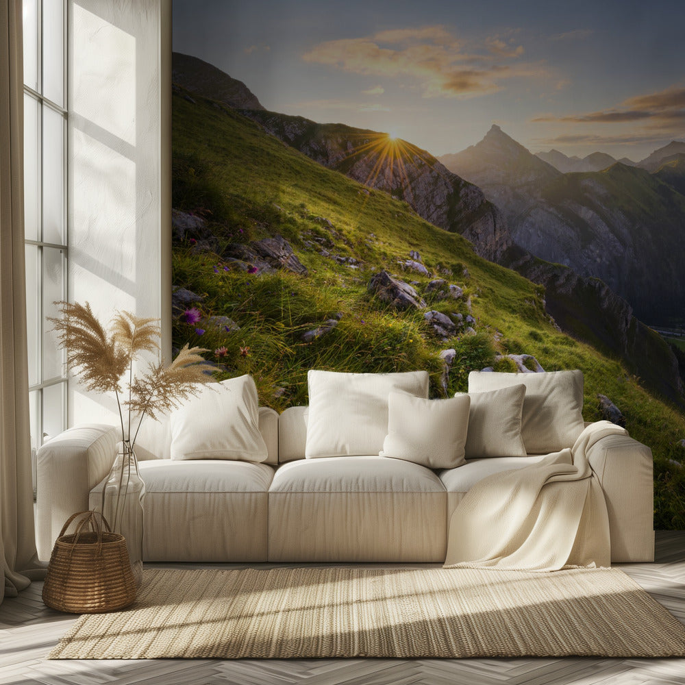 Sommerwiese | Tapete