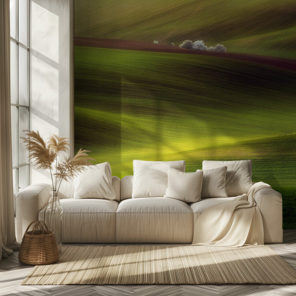 Goldene Felder | Tapete