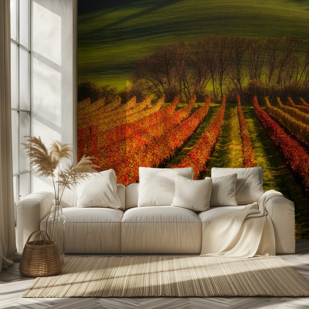 Weinbau | Tapete