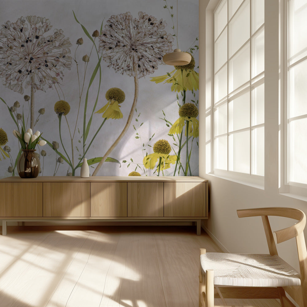 Allium und Helenium | Tapete