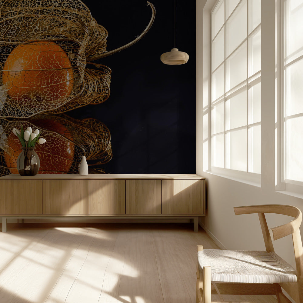 Physalis | Tapete