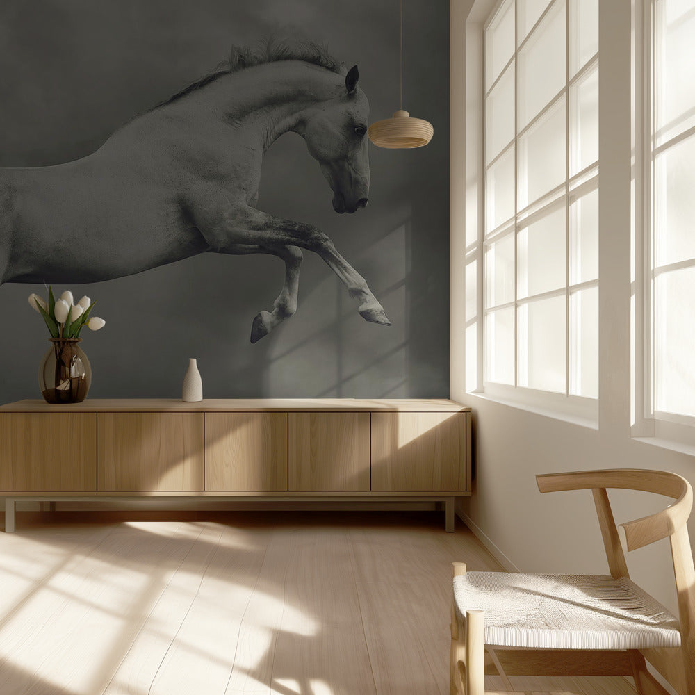 parical | Tapete