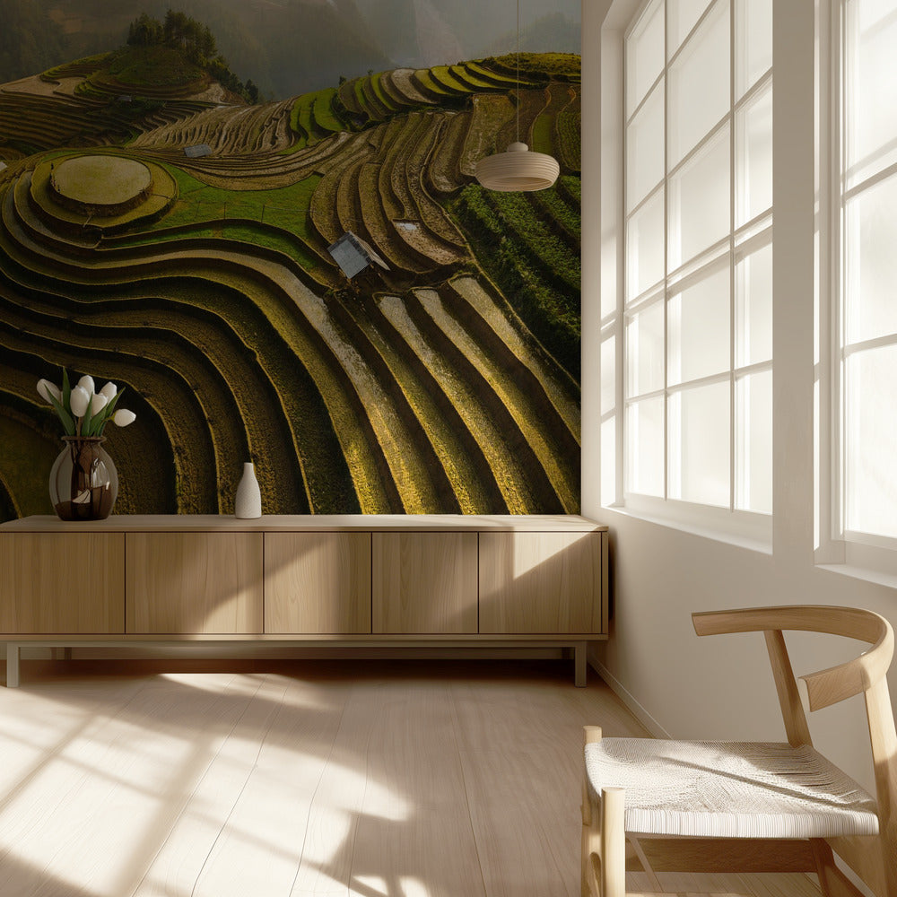 mu cang chai - vietnam | Tapete