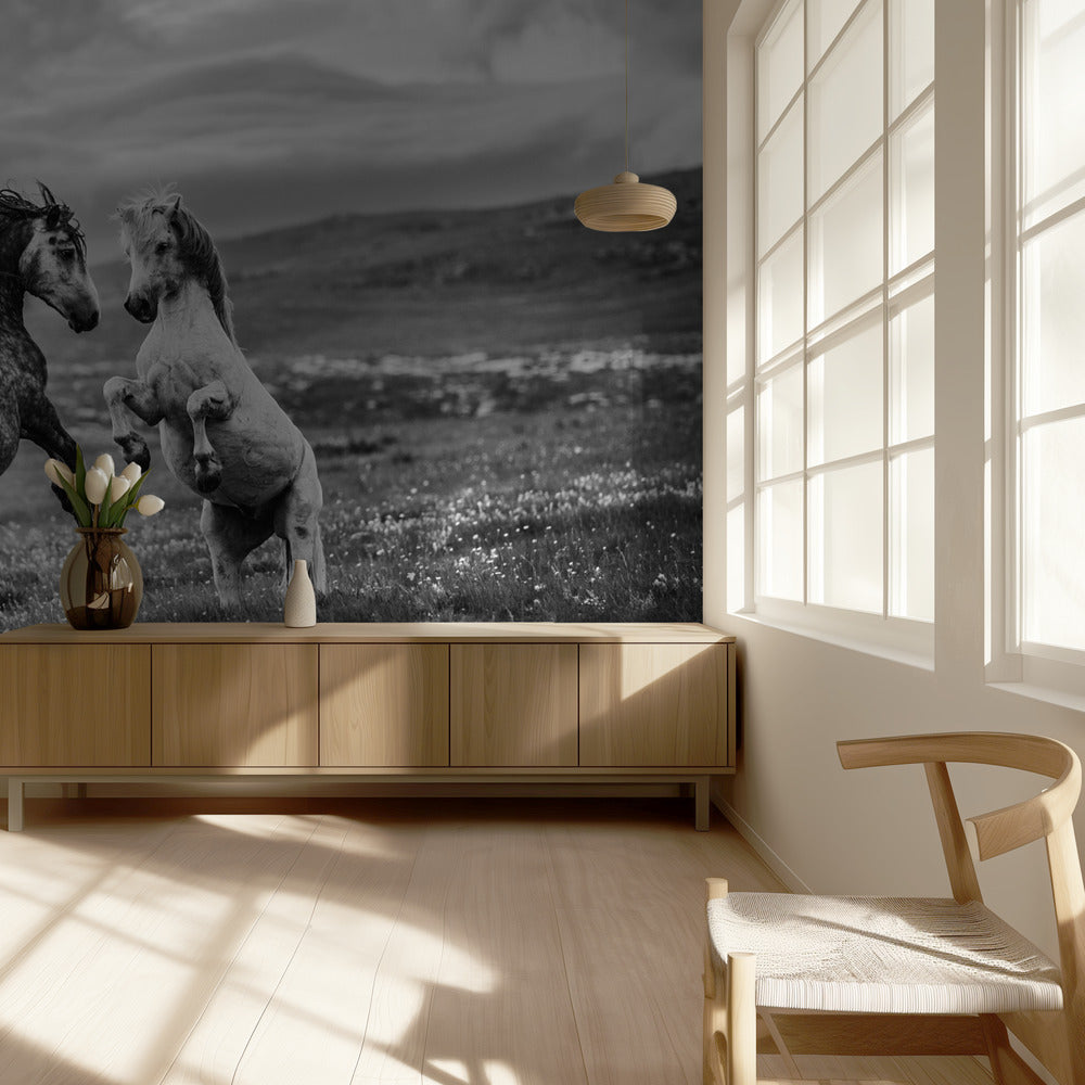 Wild und frei | Hintergrundbild