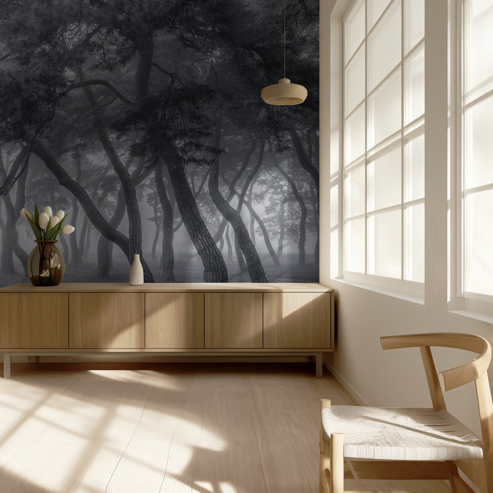 Immer | Hintergrund