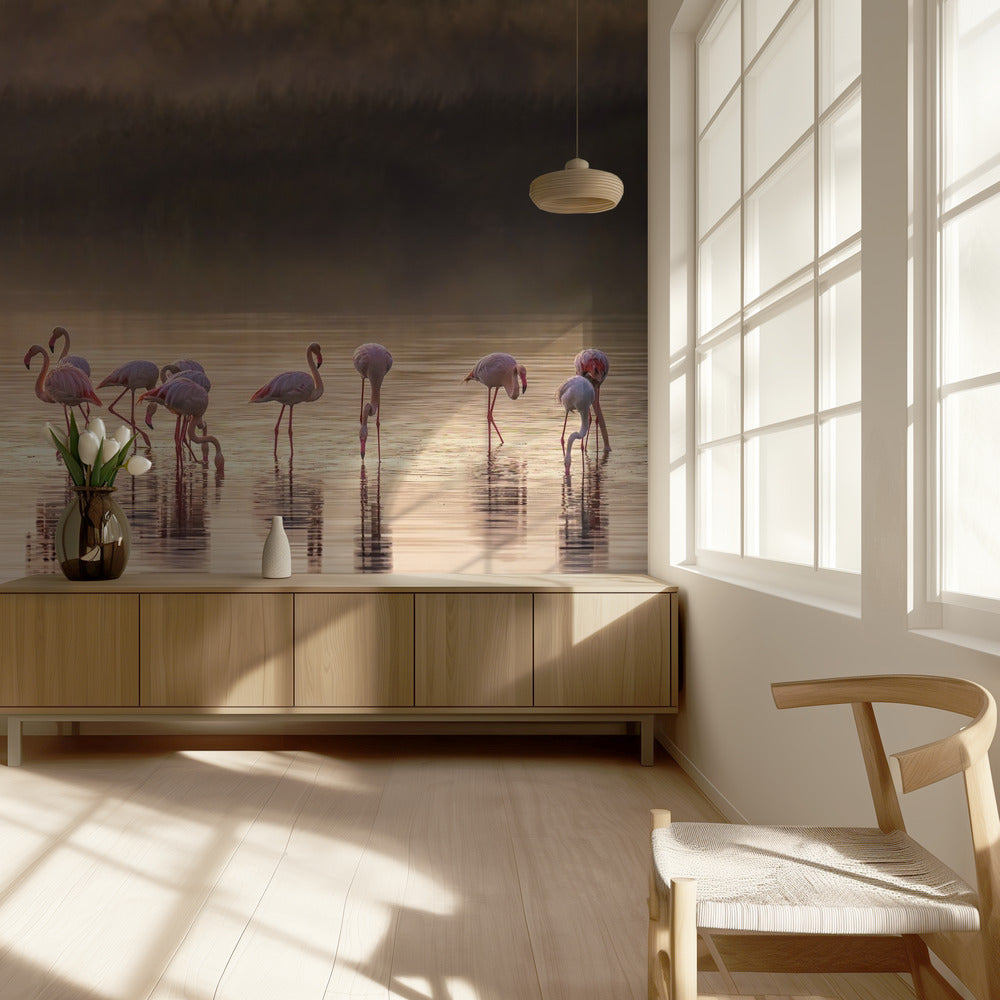 Fotografische Ode an Monet | Hintergrundbild