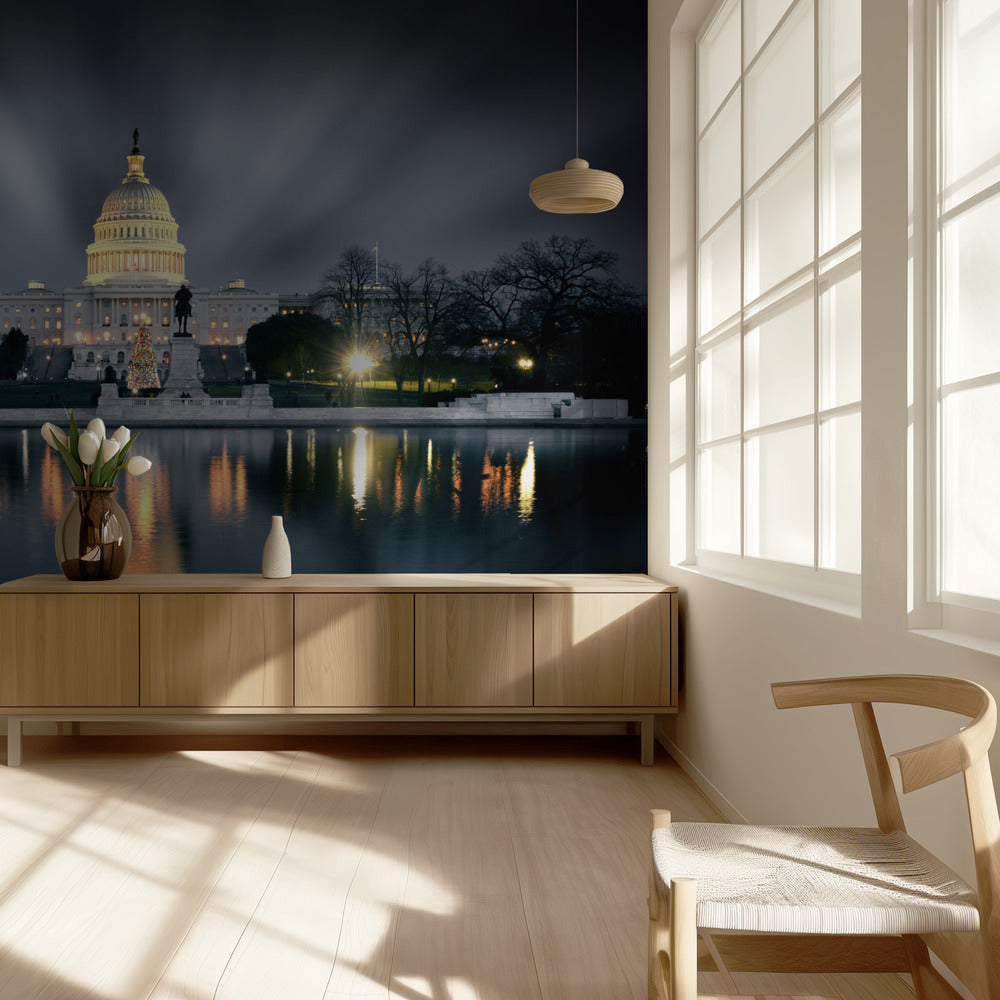 Capitol Hill | Tapete