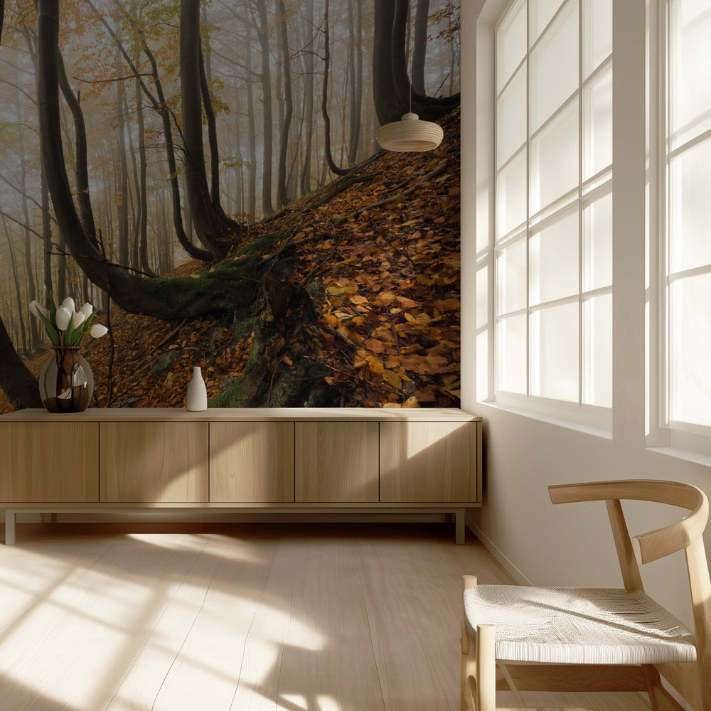 Mystischer Herbstwald | Tapete