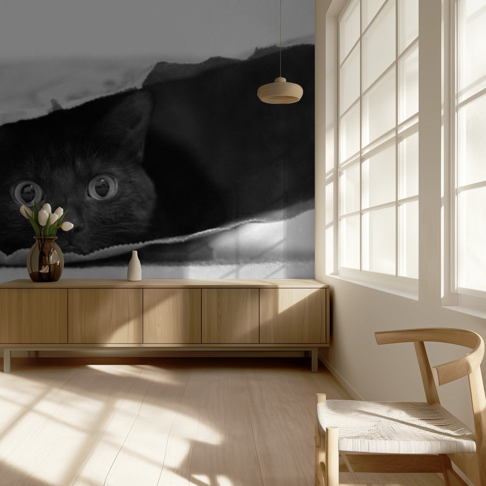 Katze im Sack | Tapete