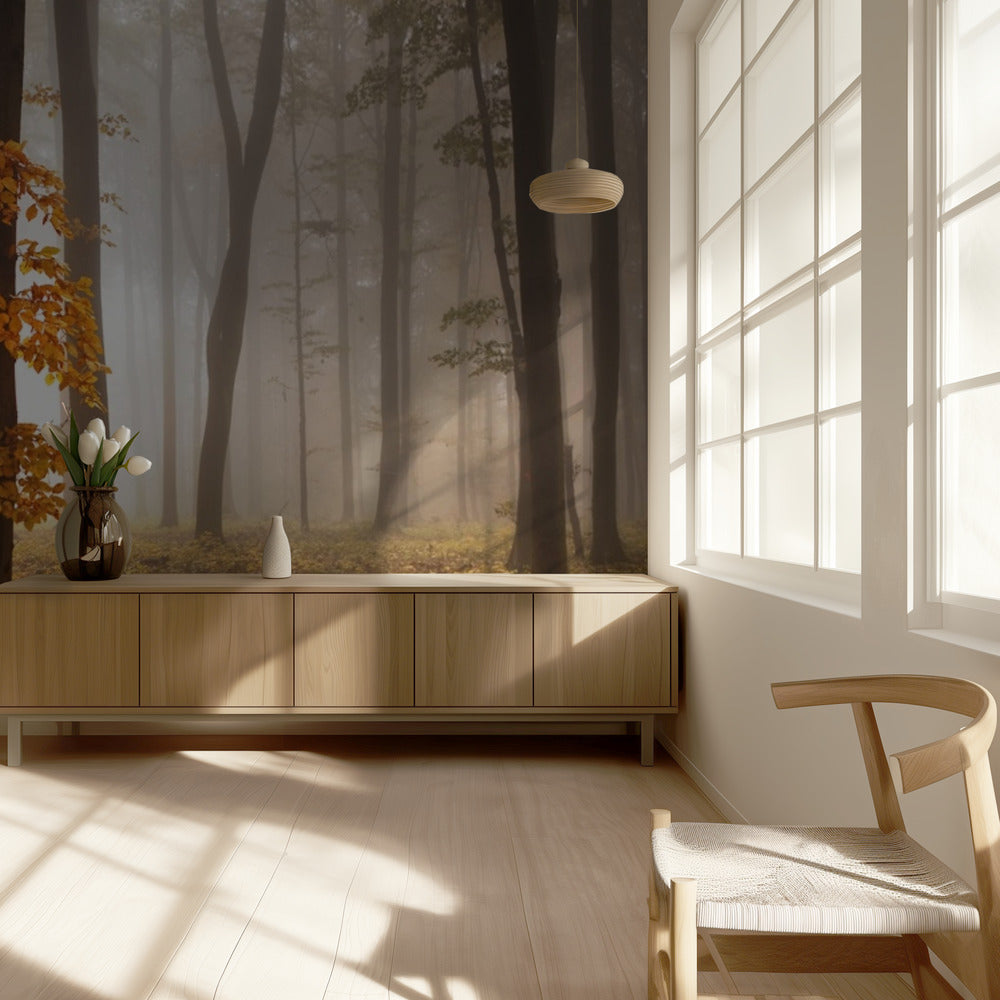 Im Novemberlicht | Tapete