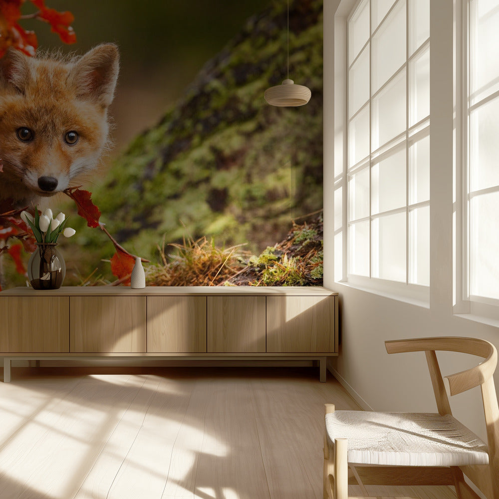 Fuchs | Tapete
